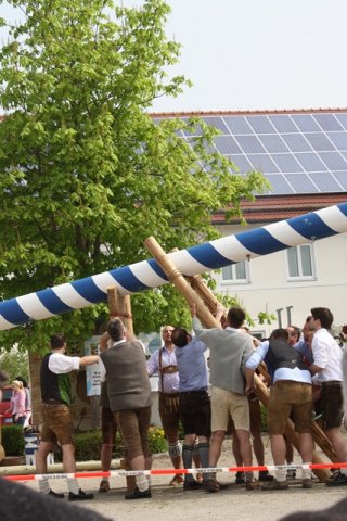 Maibaum 2013